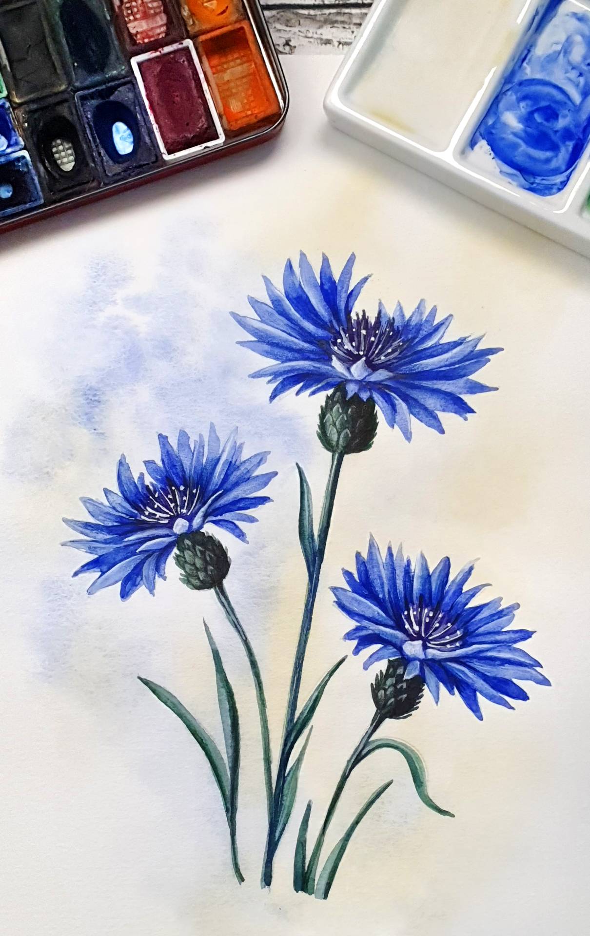 Referenzbild
