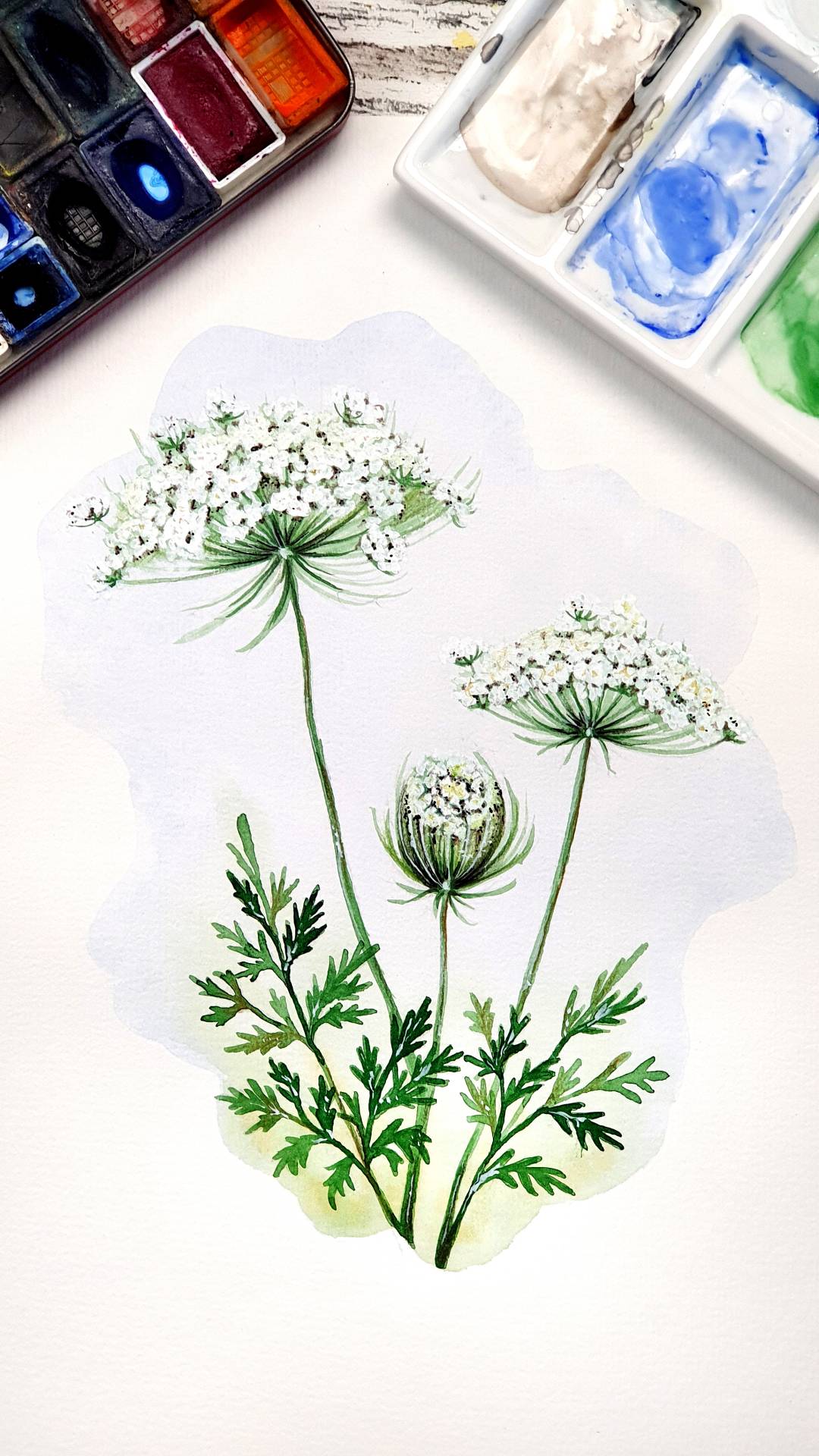 Referenzbild