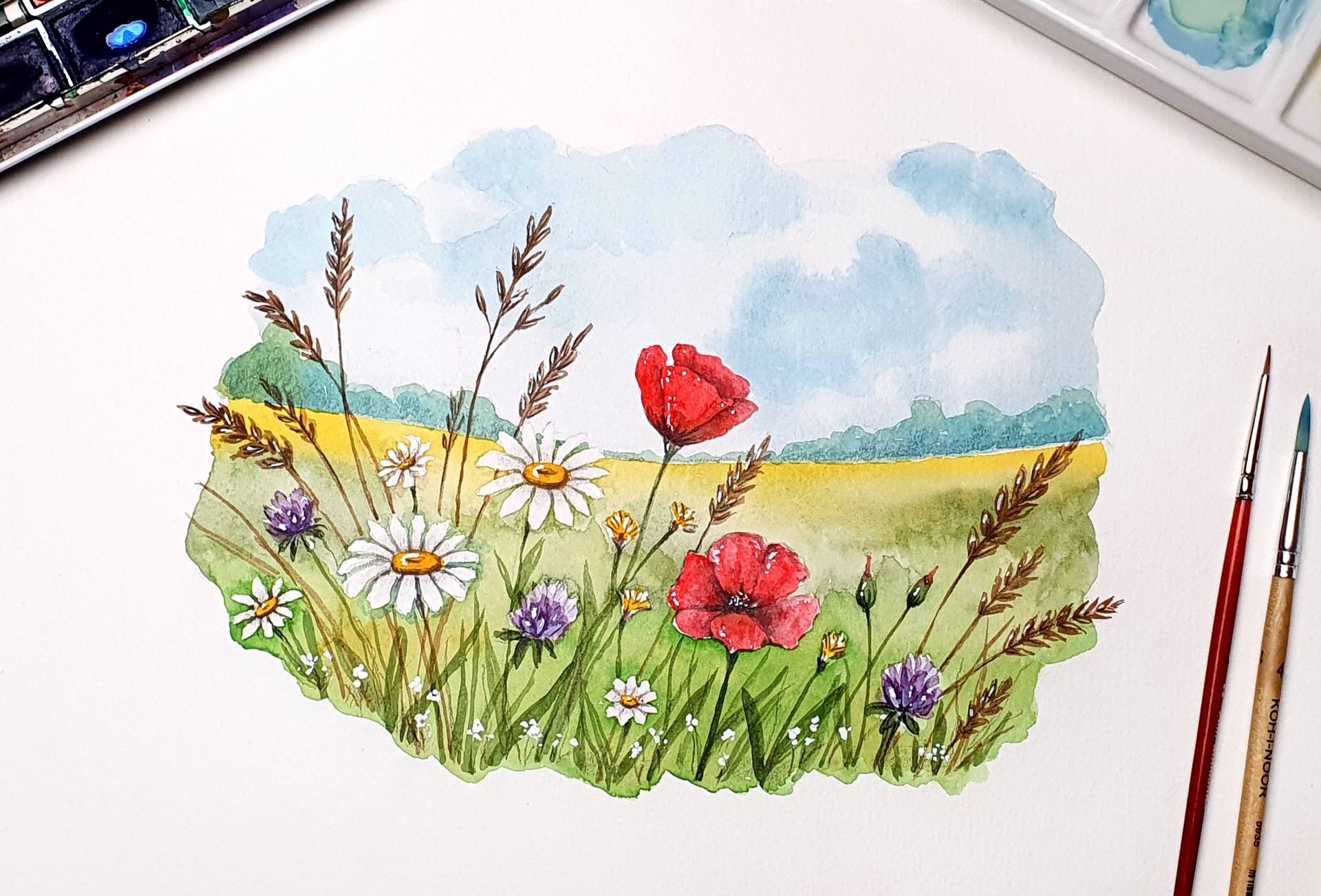Referenzbild