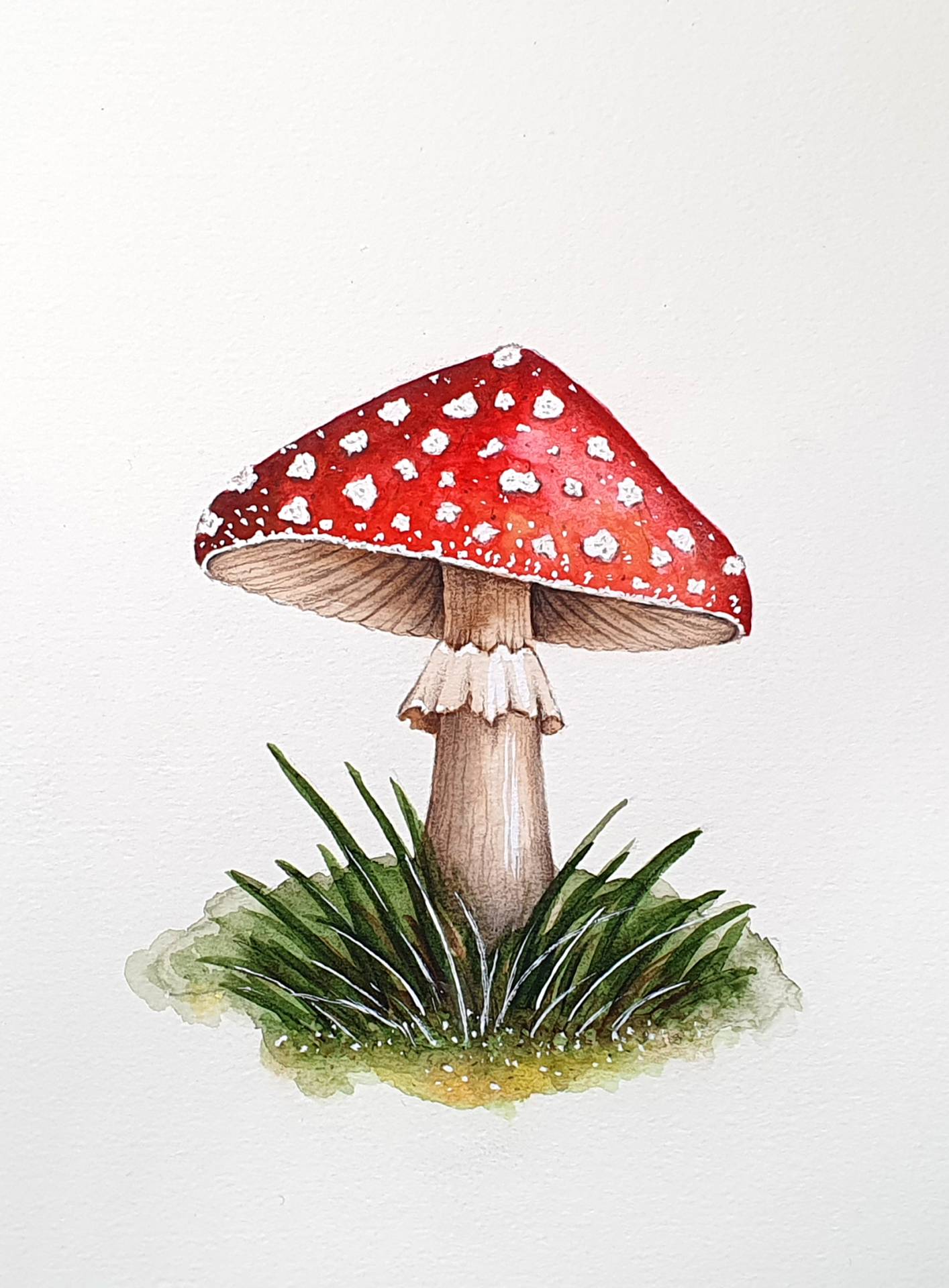 Referenzbild