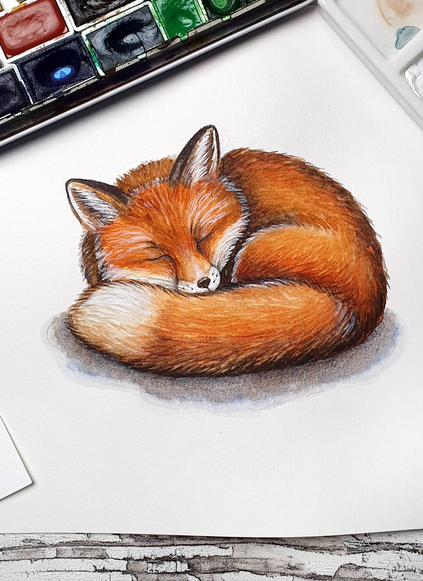 Referenzbild