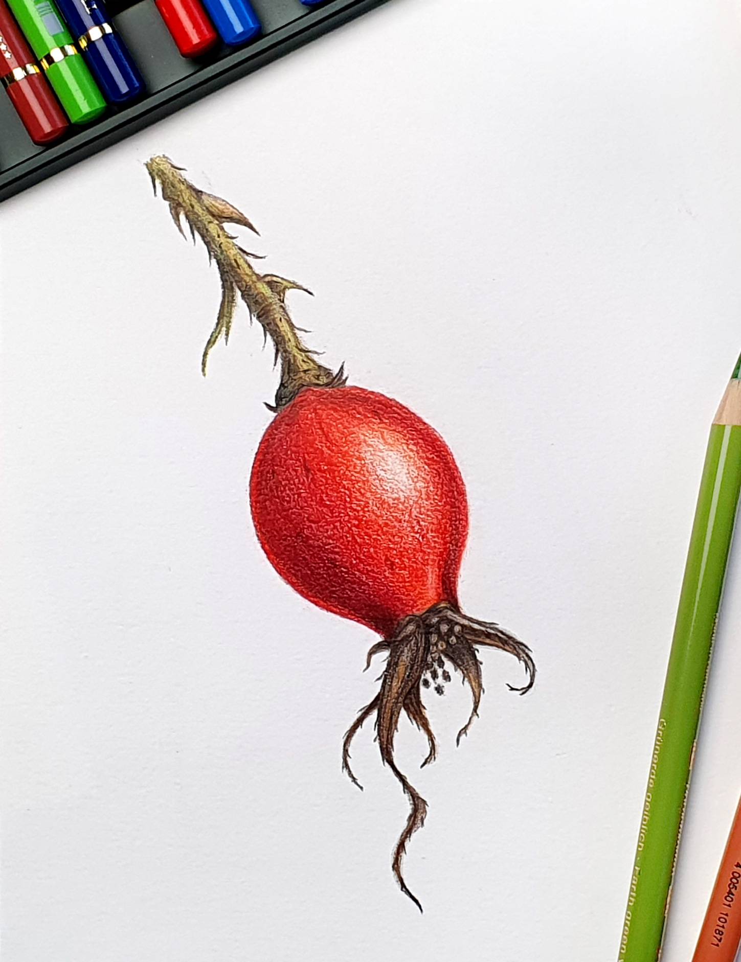 Referenzbild