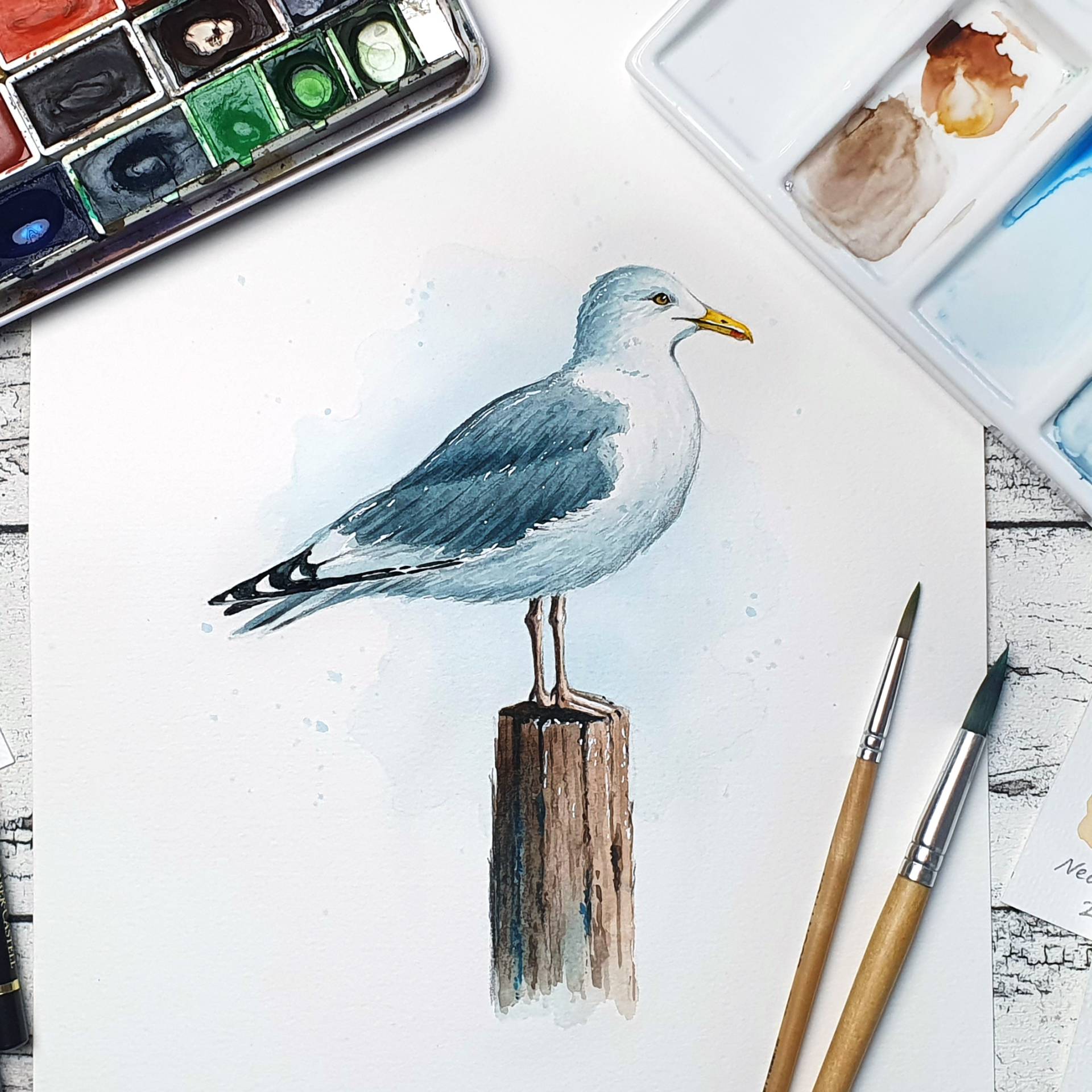 Referenzbild